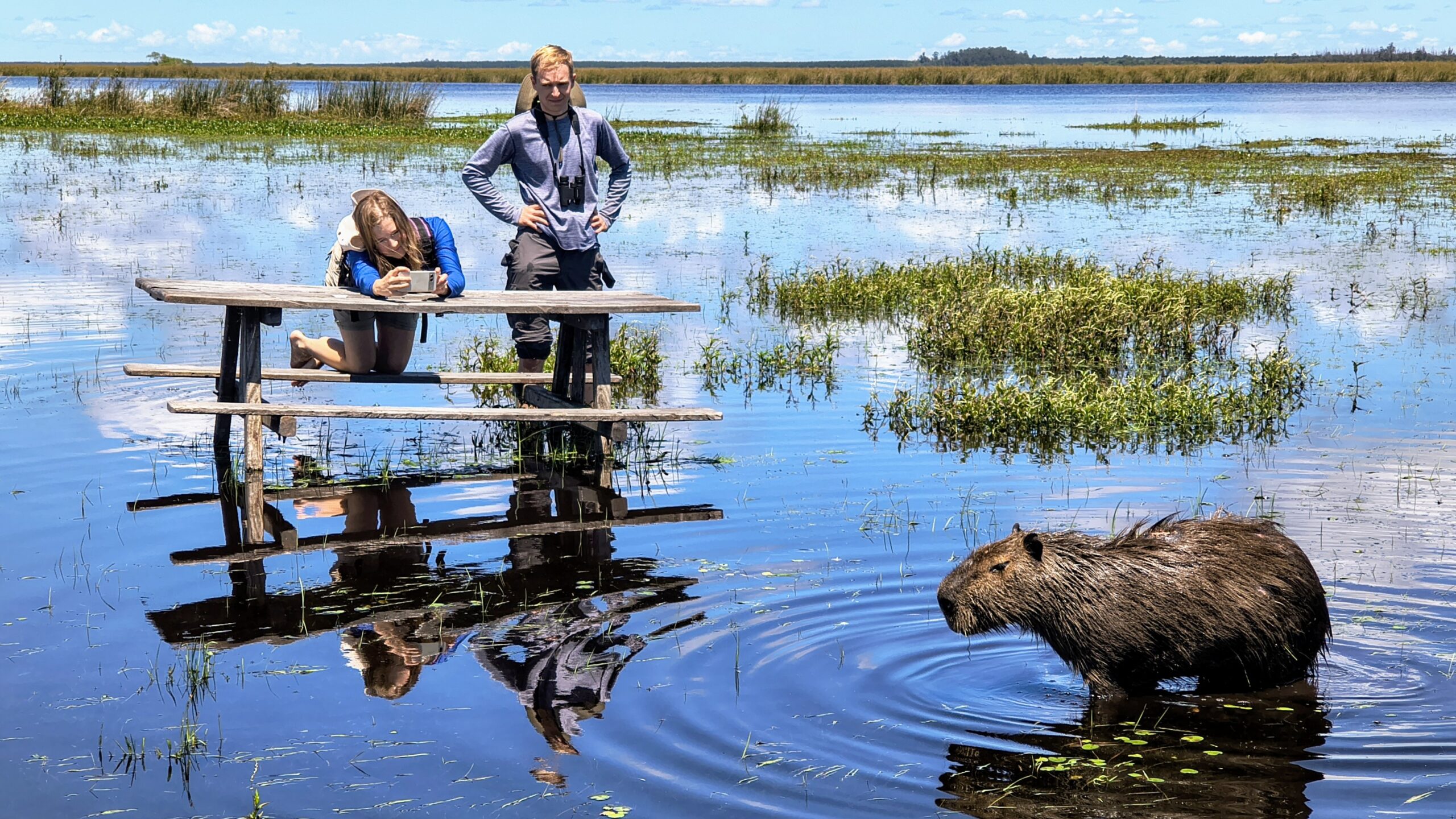 0642bd71-f54d-47d5-bd51-d24f029bdb2b~1