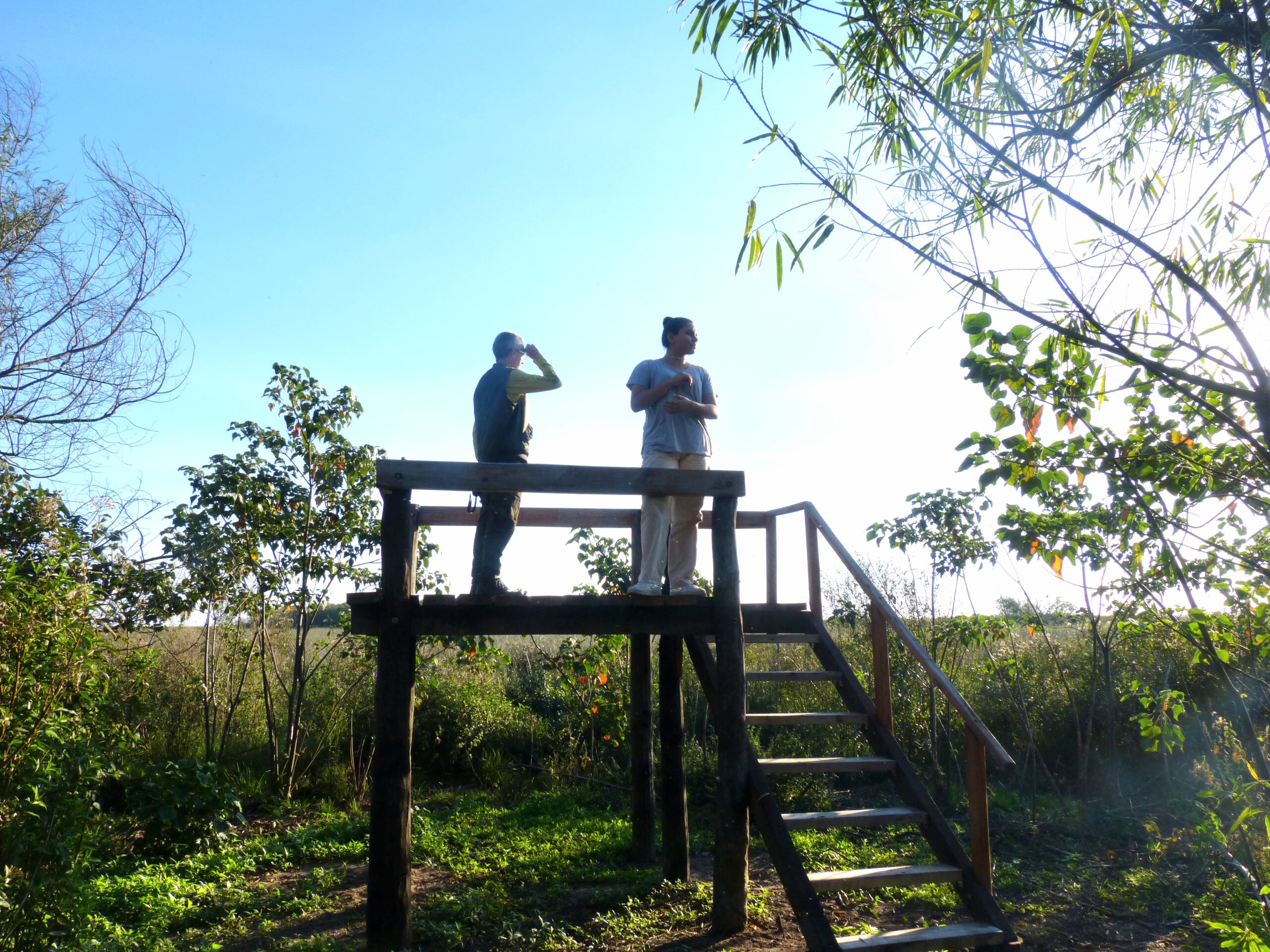 20230702 205428 1000269191 scaled