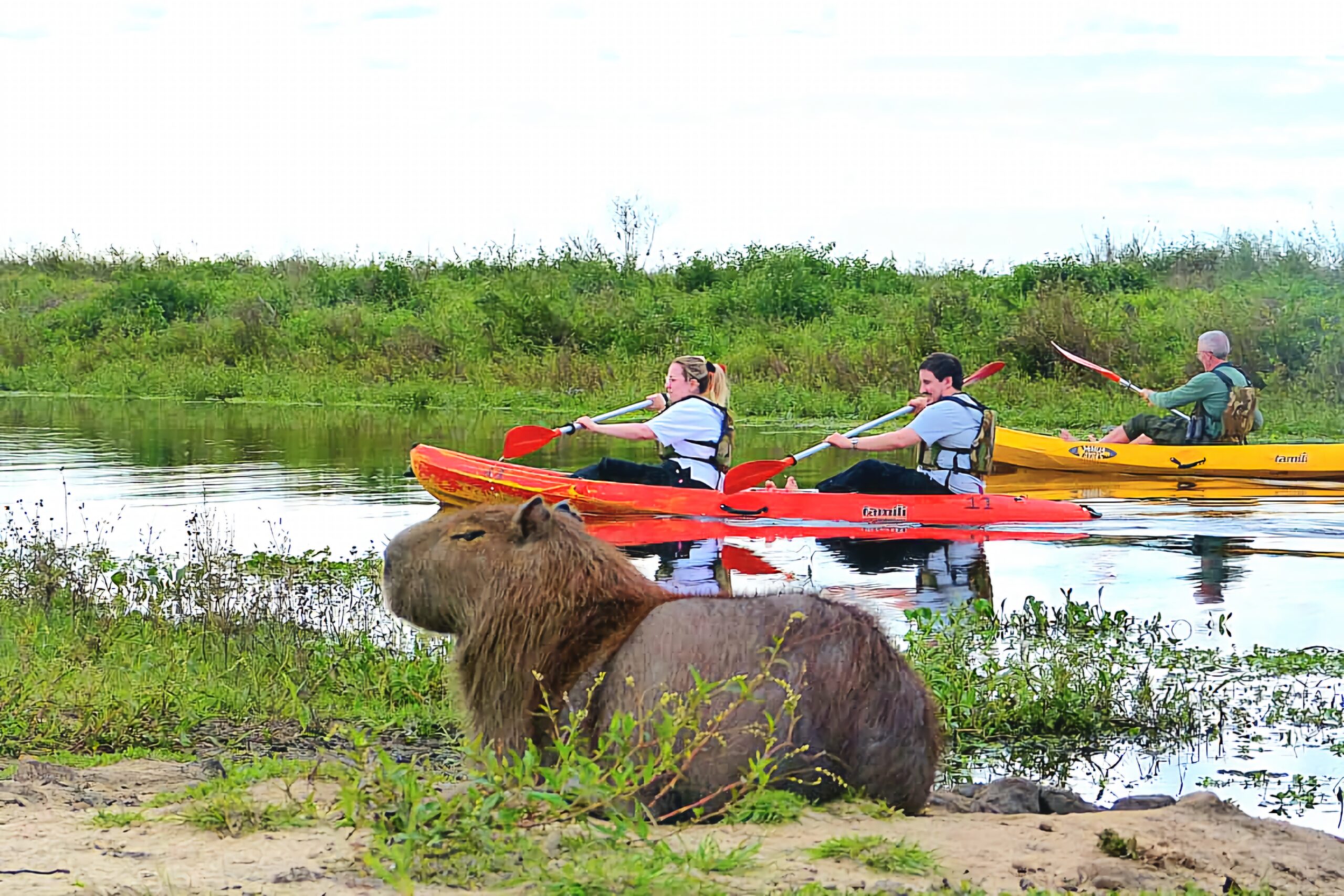 20240324 200947 1000256075 scaled