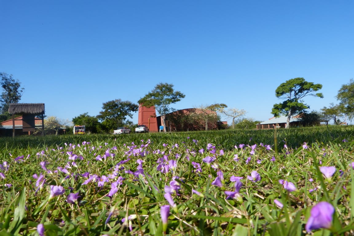 20240324_200948_1000256106