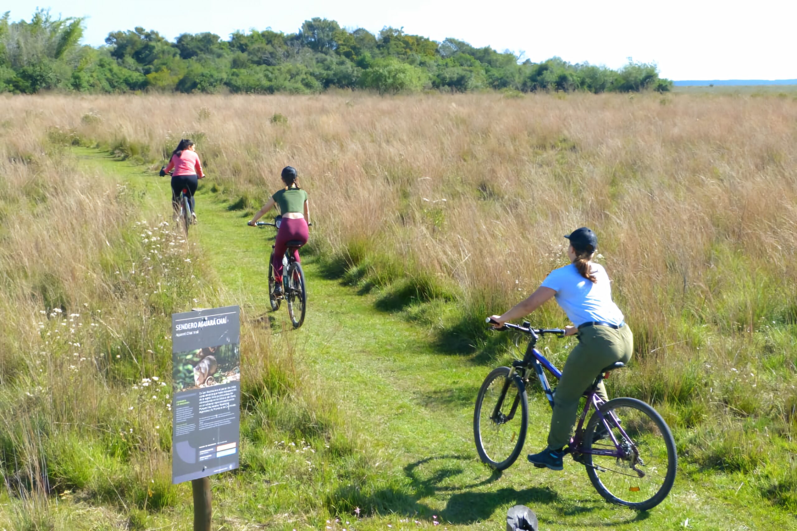 20240324 201303 1000329093 scaled