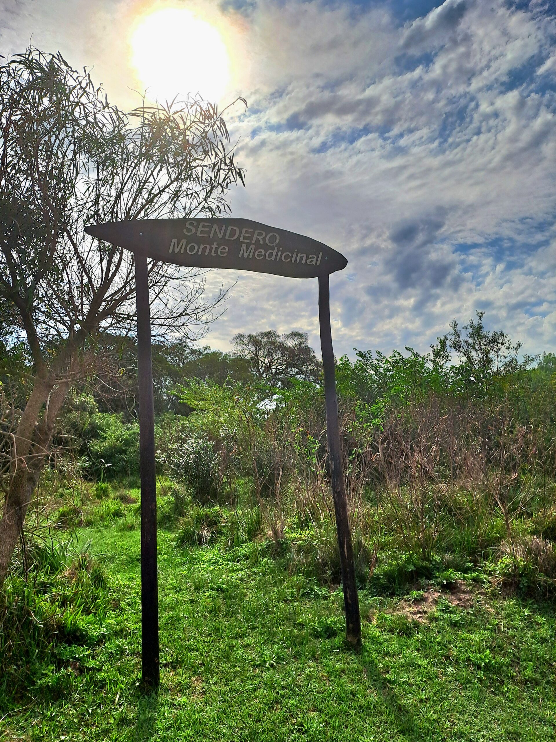 20240621 140215 scaled