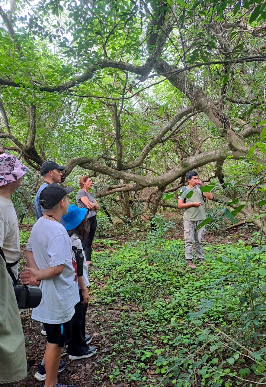 IMG 20240622 WA01772