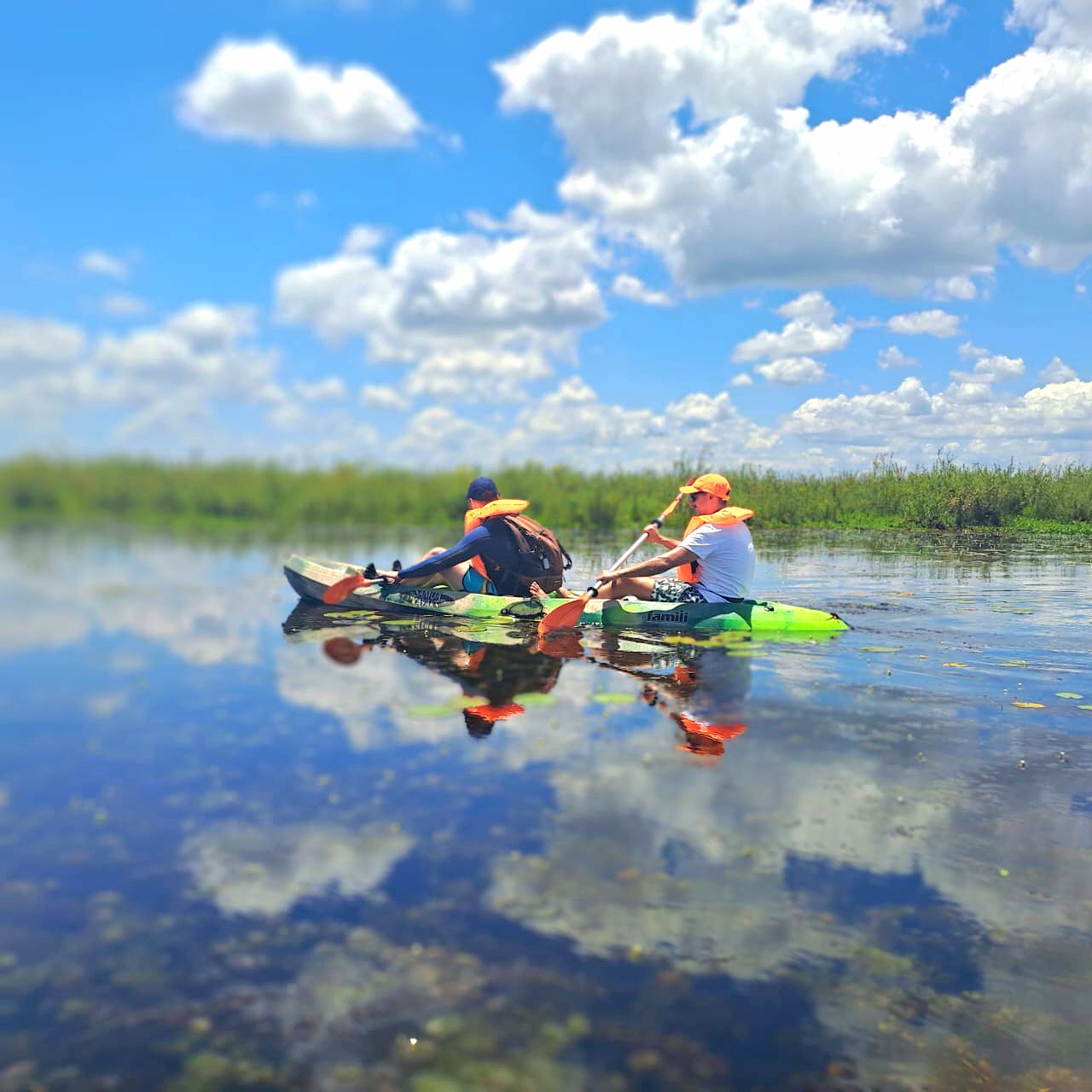 IMG-20241223-WA0010 (1)