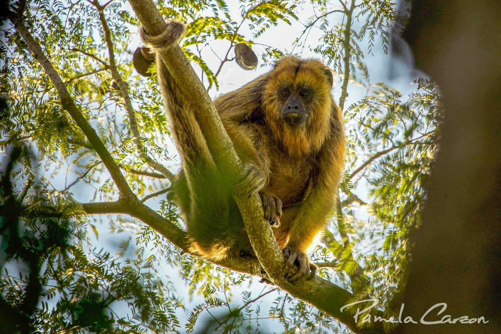 IMG-20250414-WA0259(1)