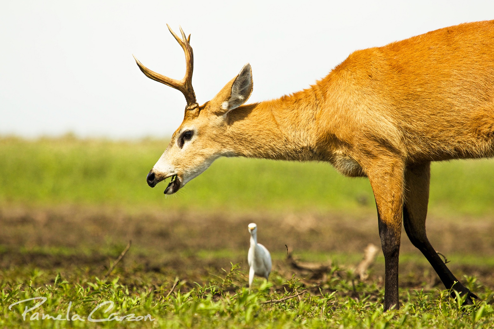 IMG 20250414 WA02601