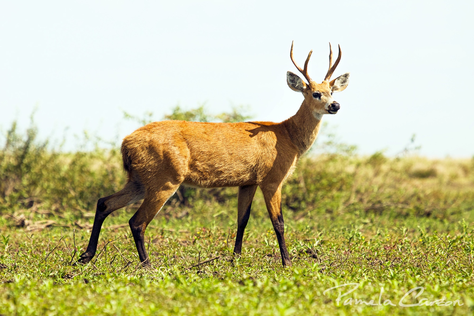 IMG-20250414-WA0265(1)