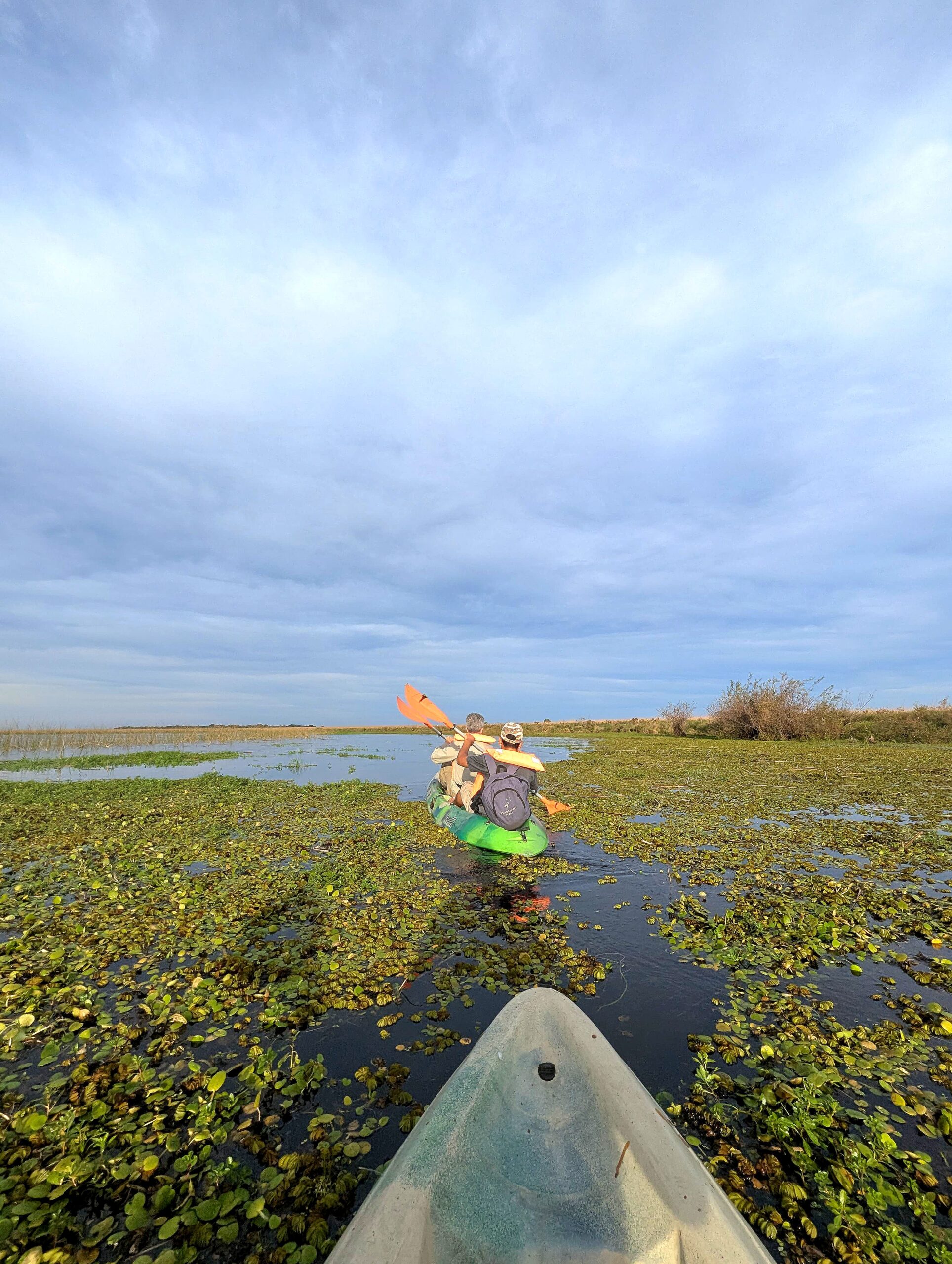 IMG 20250520 WA01021 scaled