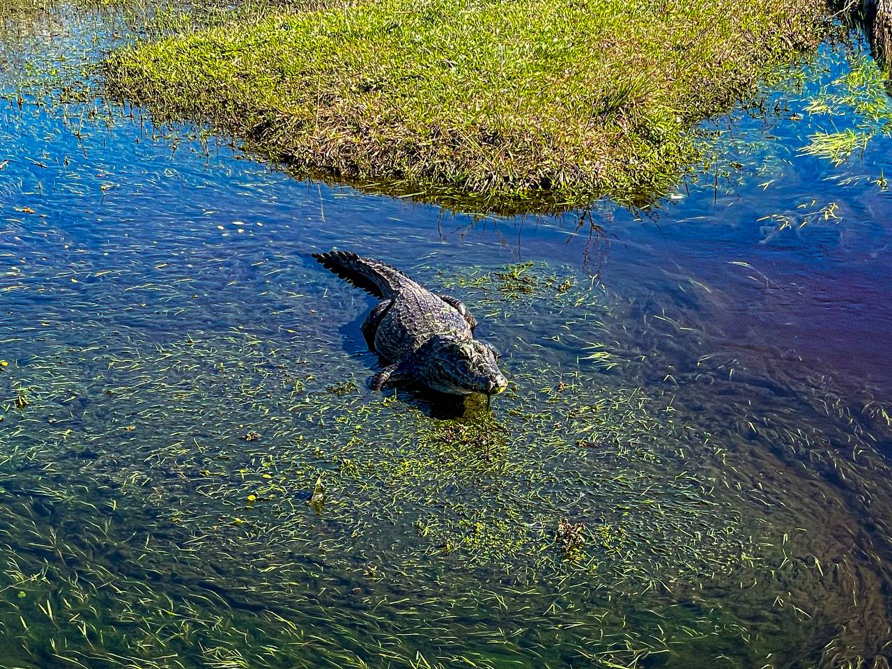 IMG 20250722 095524 325