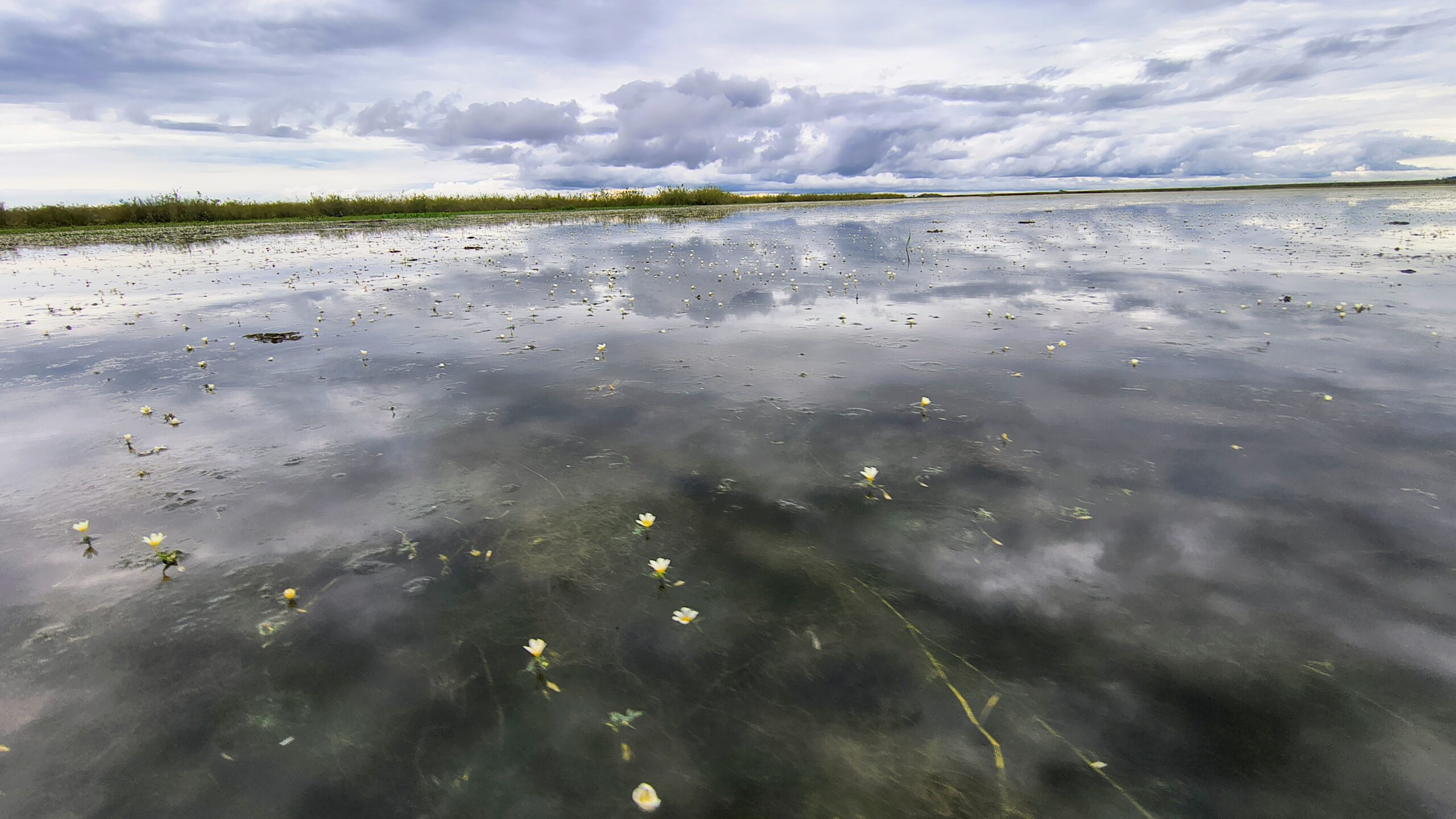 IMG_20250930_165529955_HDR_AE