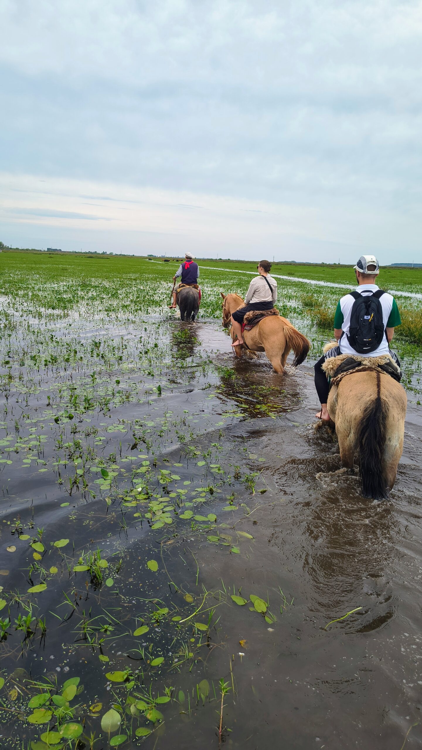 IMG 20251002 113519914 HDR AE scaled