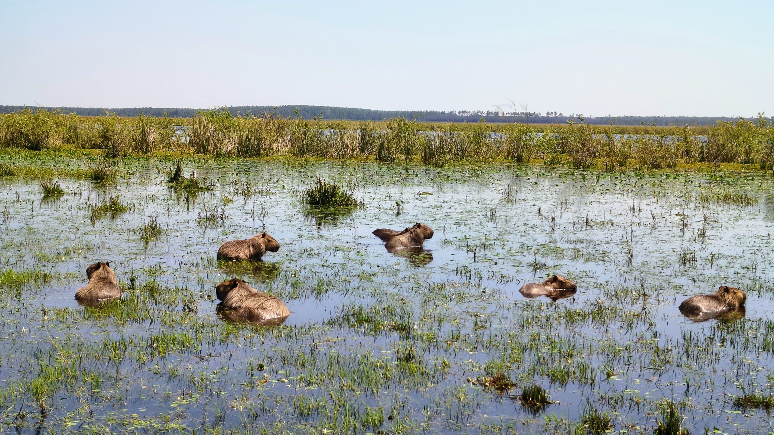 IMG 20251005 121048170 HDR AE scaled