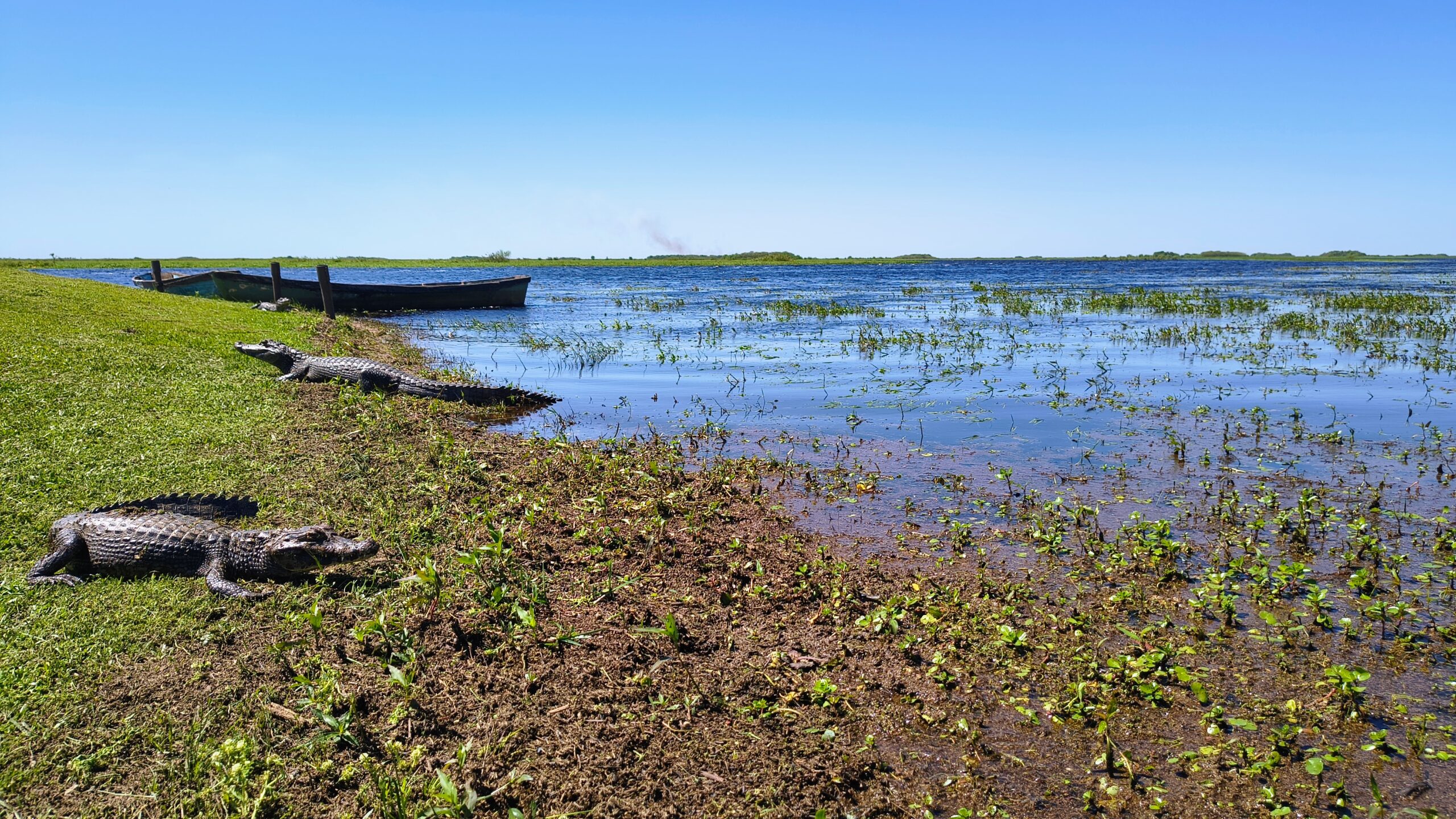 IMG 20251013 105558775 HDR AE scaled