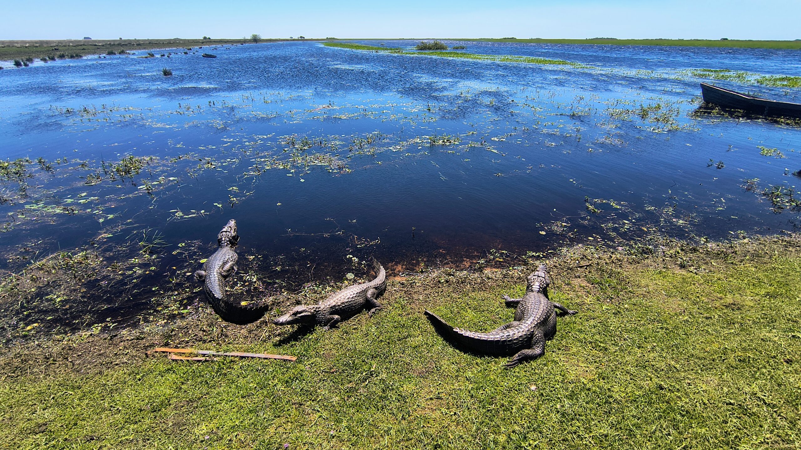 IMG_20251013_111719813_HDR_AE