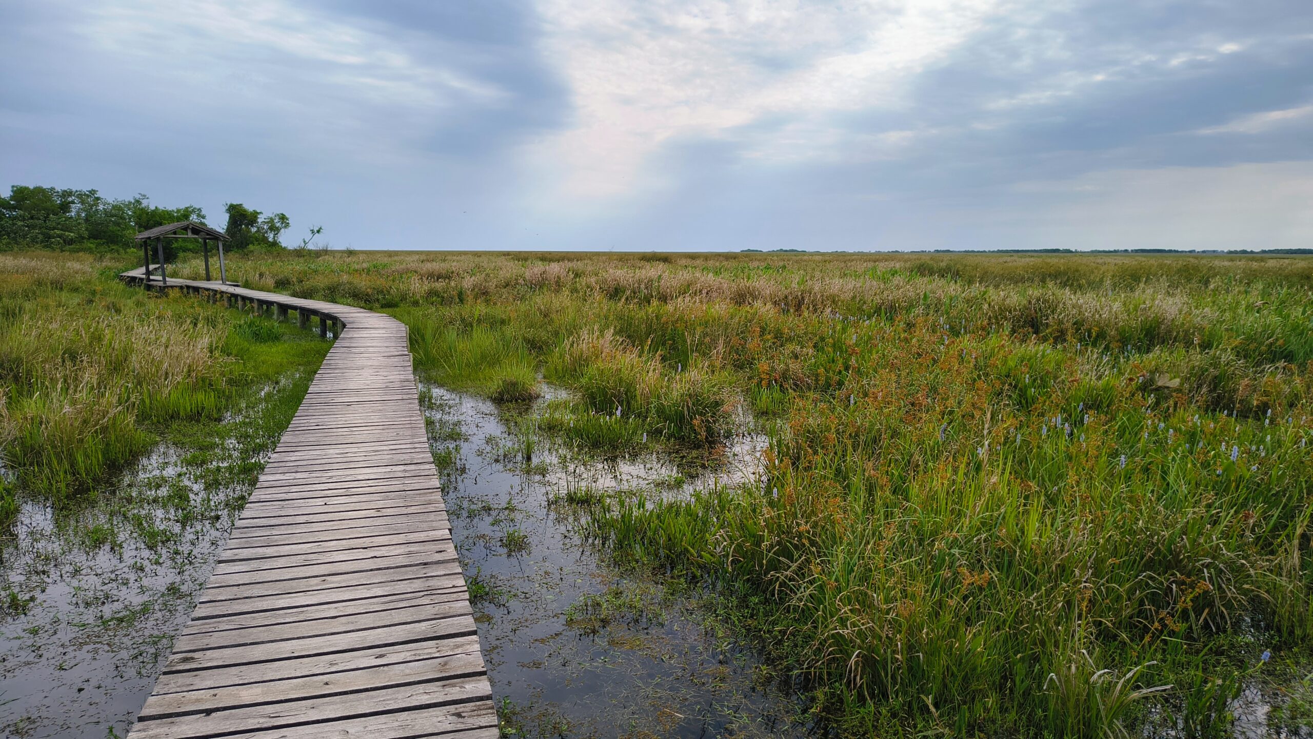 IMG 20251015 153530531 HDR AE scaled