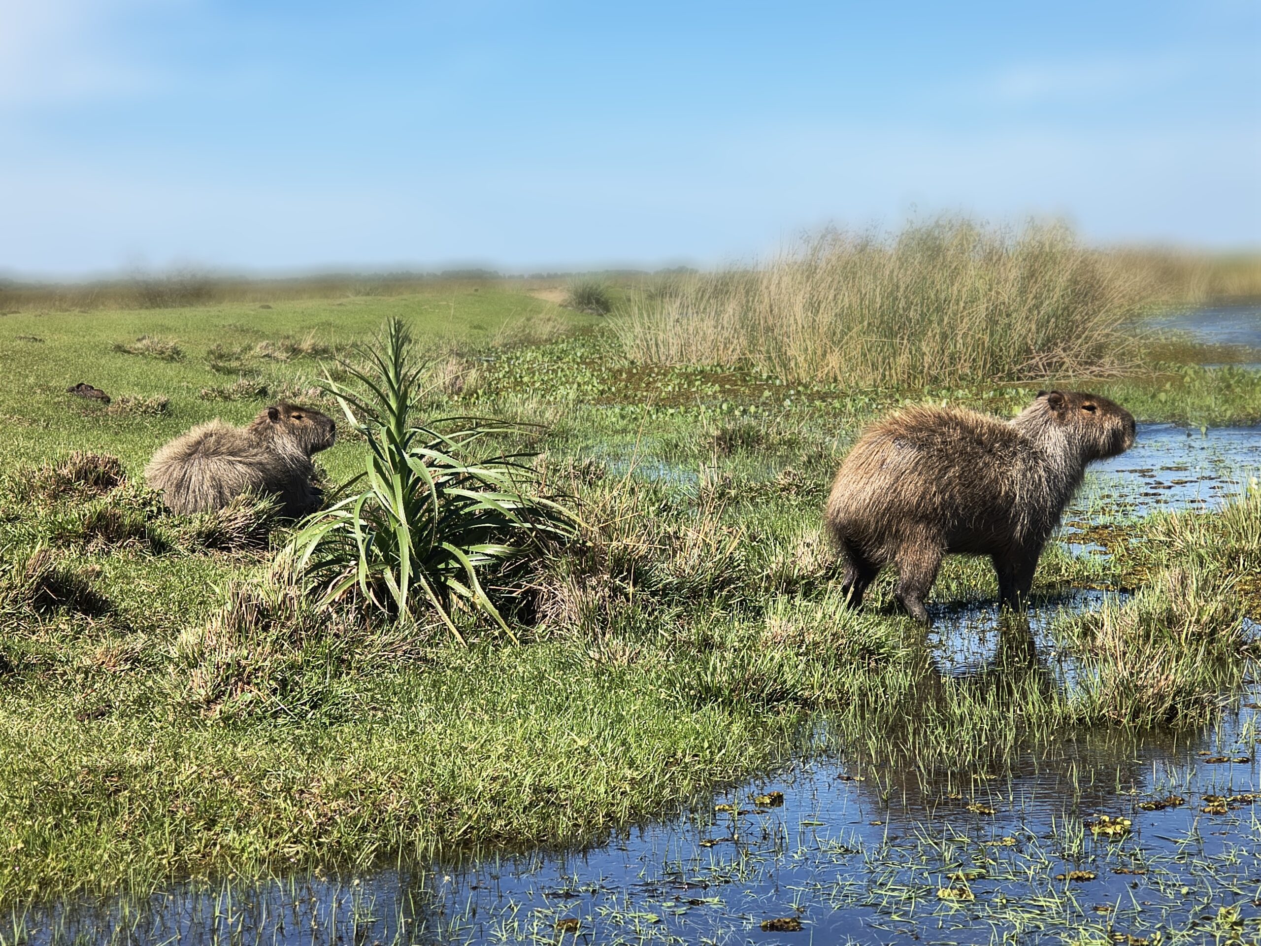 IMG 20251022 095327728 HDR PORTRAIT scaled