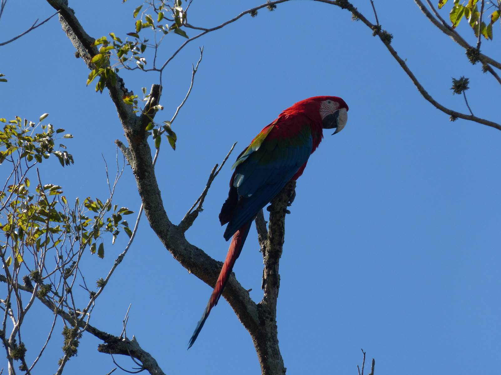 Ibera Connecta esteros del Ibera Organiza tu viaje 3