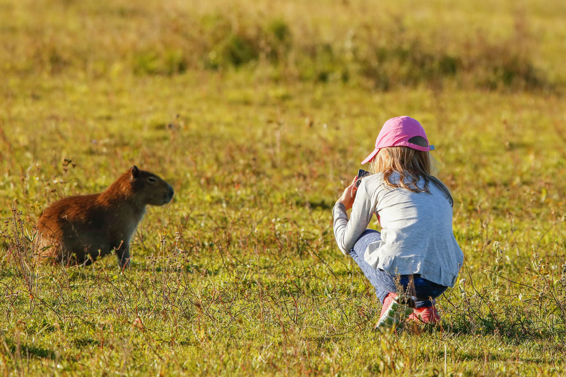 Portal San Nicolas Matias Rebak 1